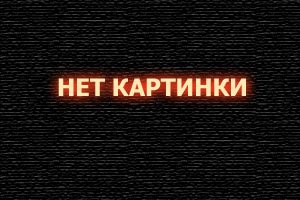  Милый морской котик смотреть онлайн (2006) 